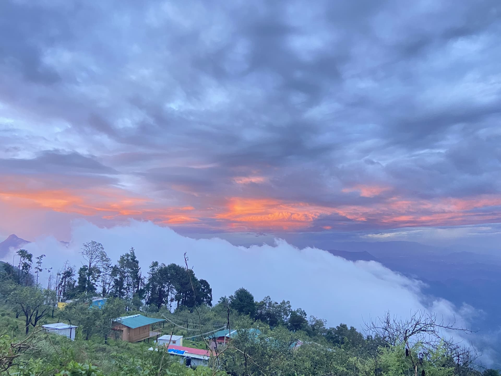 Misty Vattakanal valley view from Alwin Homestay