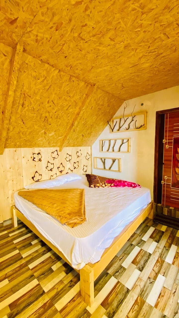 Cabin surrounded by pine trees